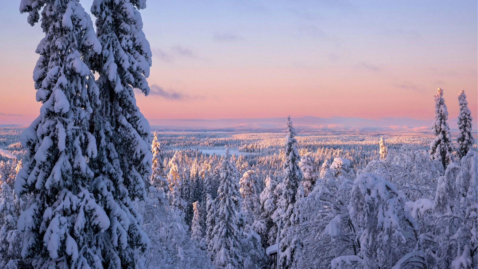 Kuvituskuva lumisesta maisemasta.